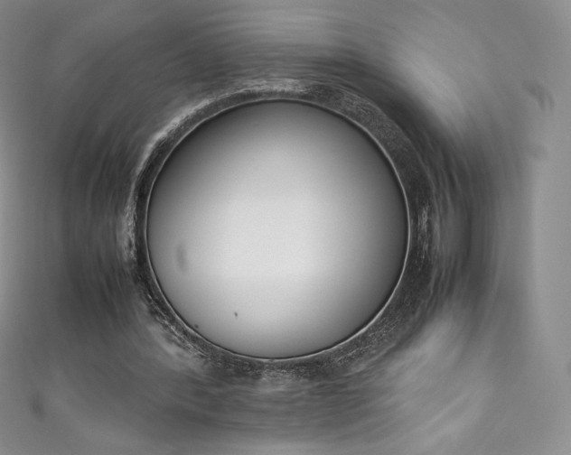 X0000111140388200906301234