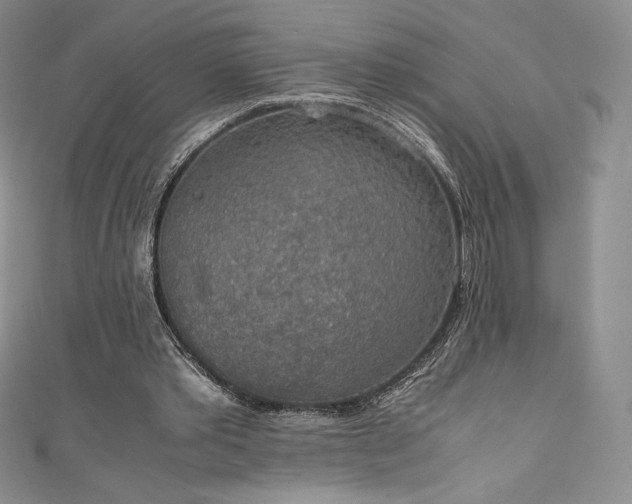 X0000111140389200906301234