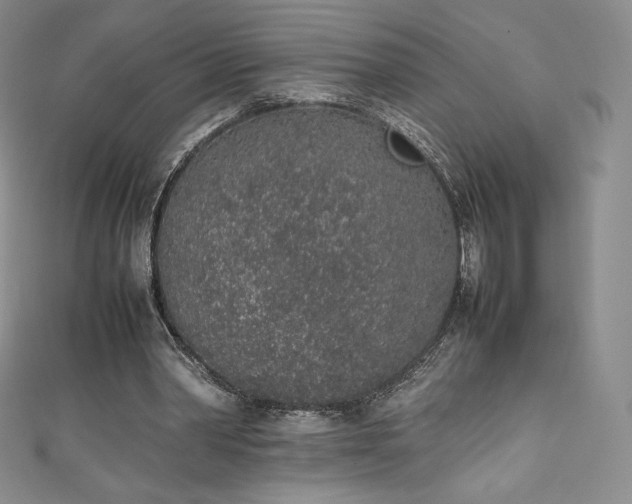 X0000111140390200906301234