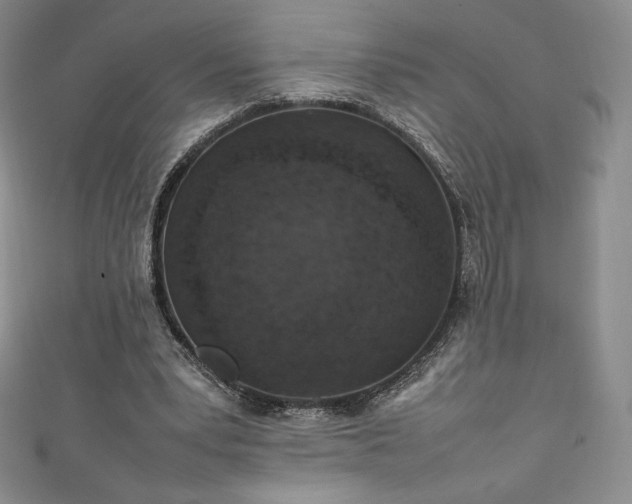 X0000111140391200906301234