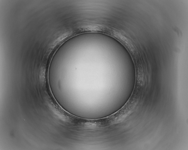 X0000111140394200906301234