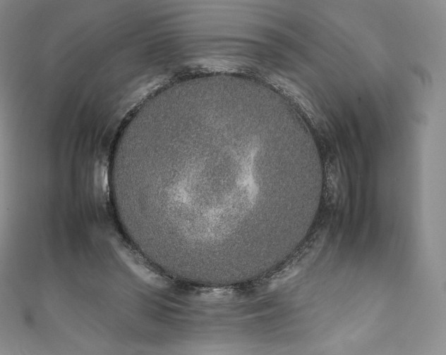 X0000111140398200906301234