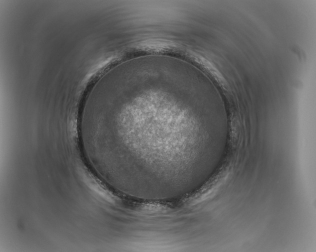 X0000111140399200906301234