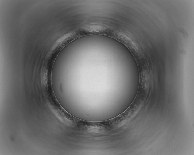 X0000111140400200906301234