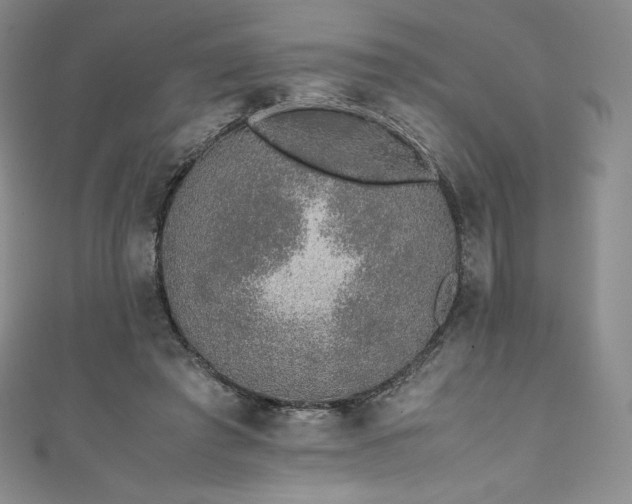 X0000111140401200906301234