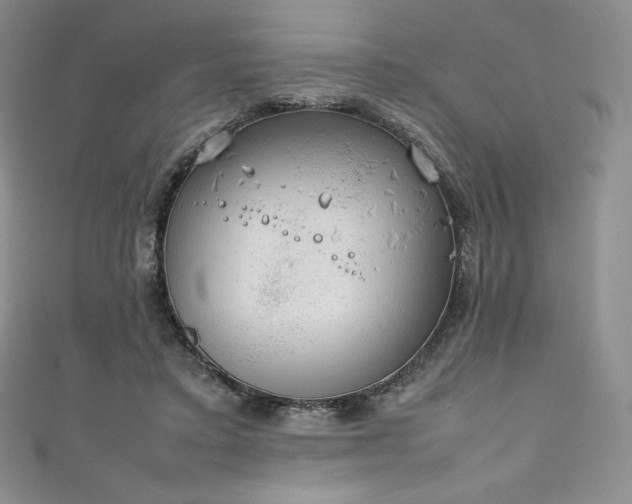 X0000111140403200906301234