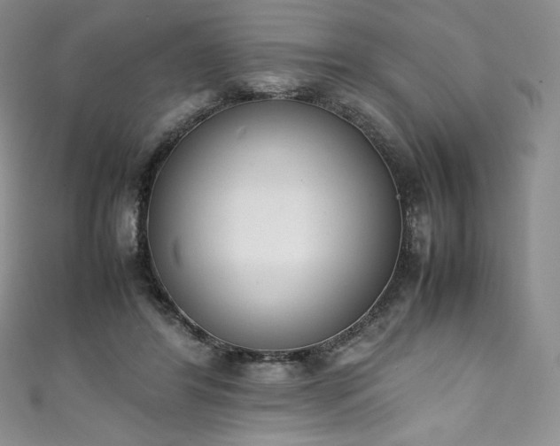 X0000111140404200906301234