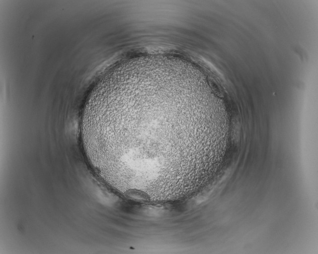 X0000111140405200906301234