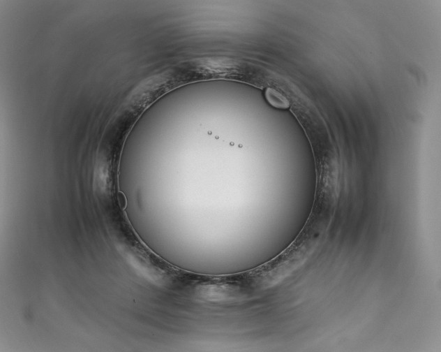 X0000111140408200906301234