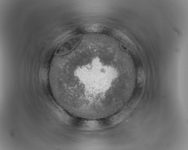 X0000111140409200906301234