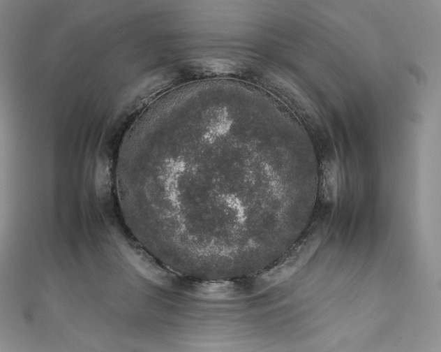 X0000111140410200906301234