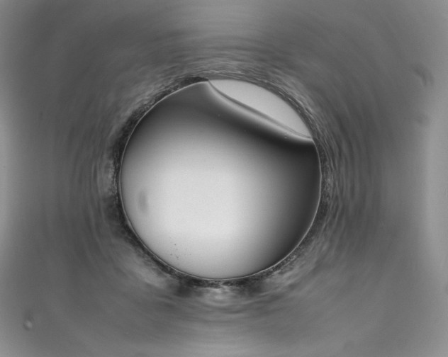 X0000111140411200906301234