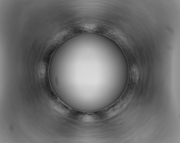 X0000111140412200906301234