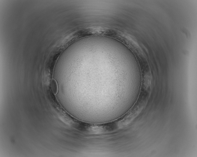 X0000111140413200906301234