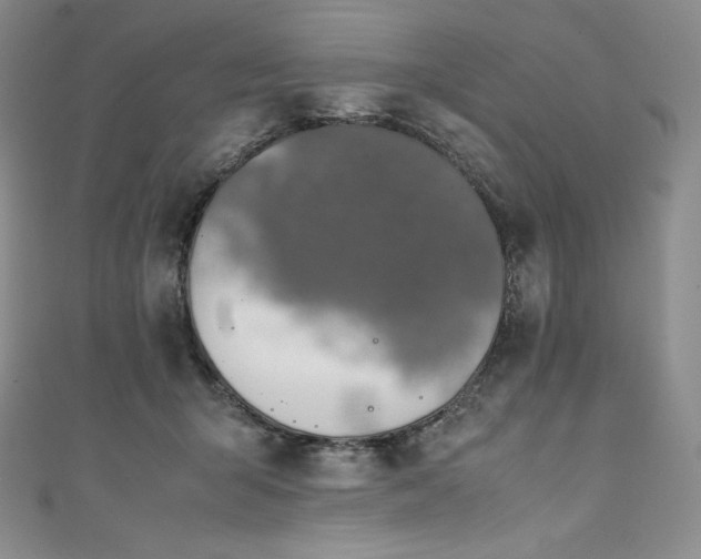 X0000111140415200906301234