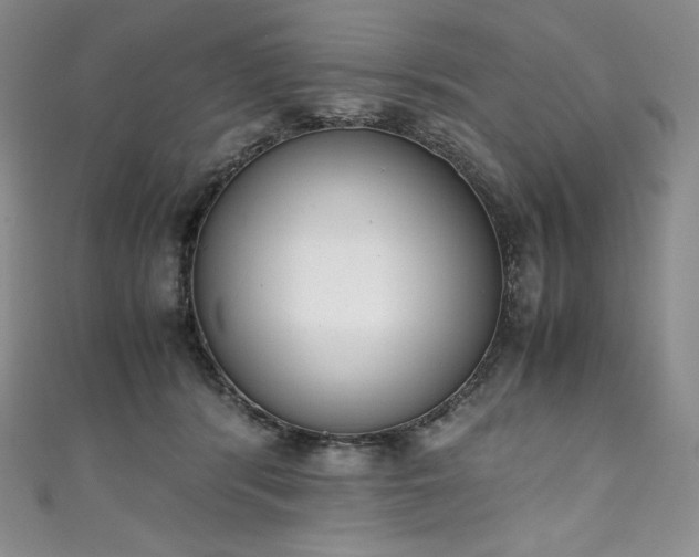 X0000111140416200906301234