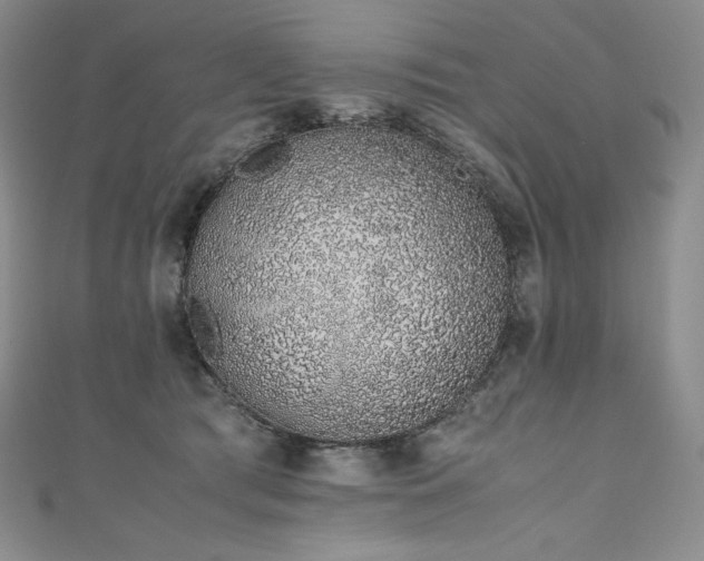 X0000111140417200906301234