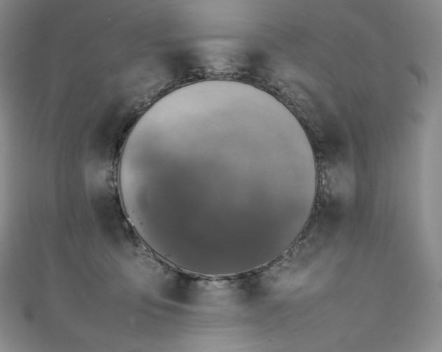 X0000111140419200906301234