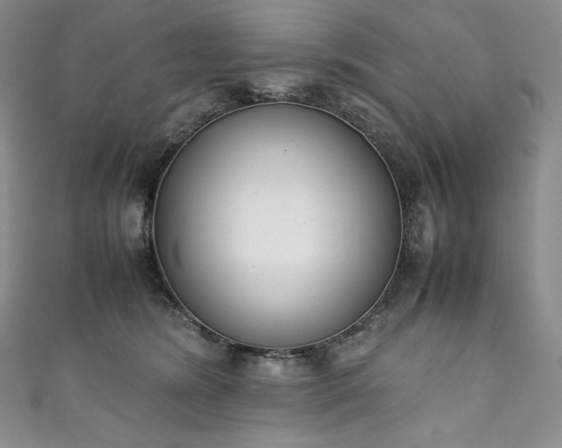 X0000111140420200906301234