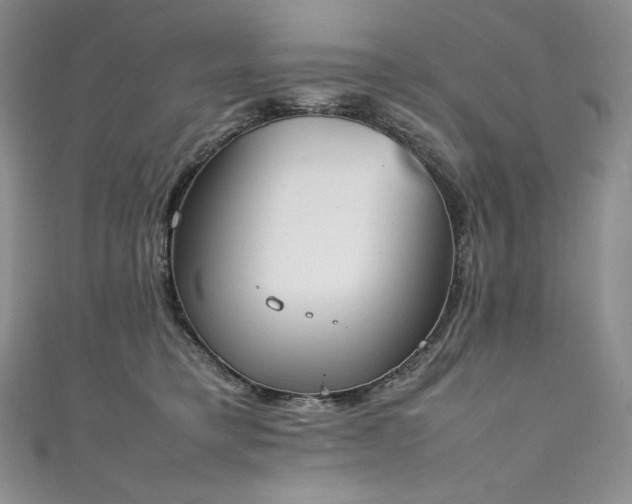 X0000111140421200906301234