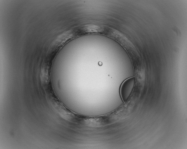 X0000111140422200906301234