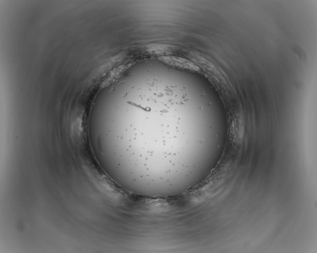 X0000111140424200906301234