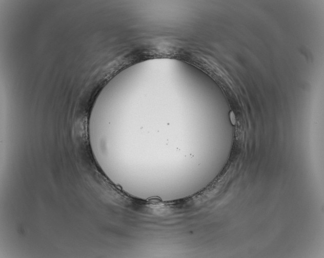 X0000111140425200906301234