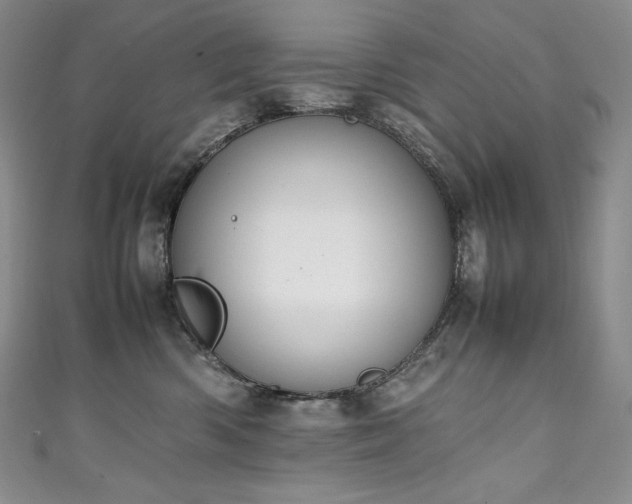 X0000111140426200906301234