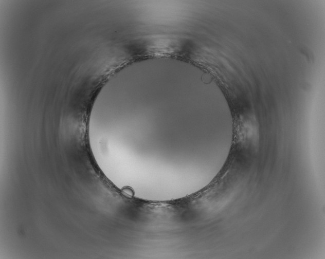 X0000111140427200906301234