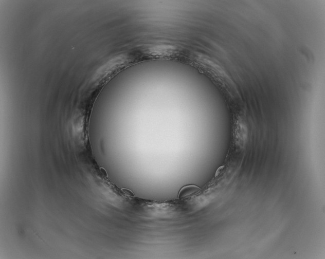 X0000111140428200906301234