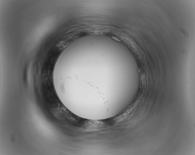 X0000111140429200906301234