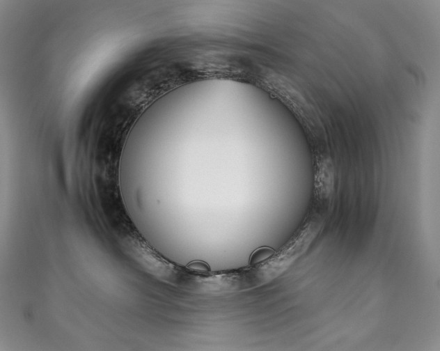 X0000111140430200906301234