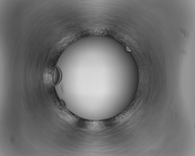 X0000111140432200906301234