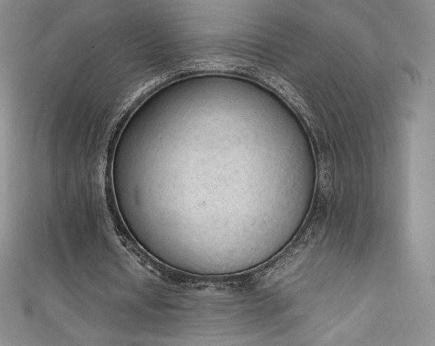 X0000111140434200906301233