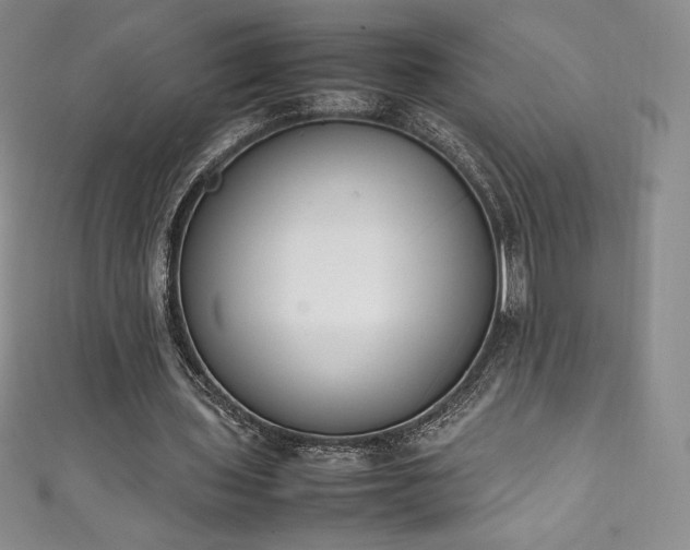 X0000111140435200906301233