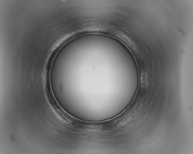 X0000111140436200906301233