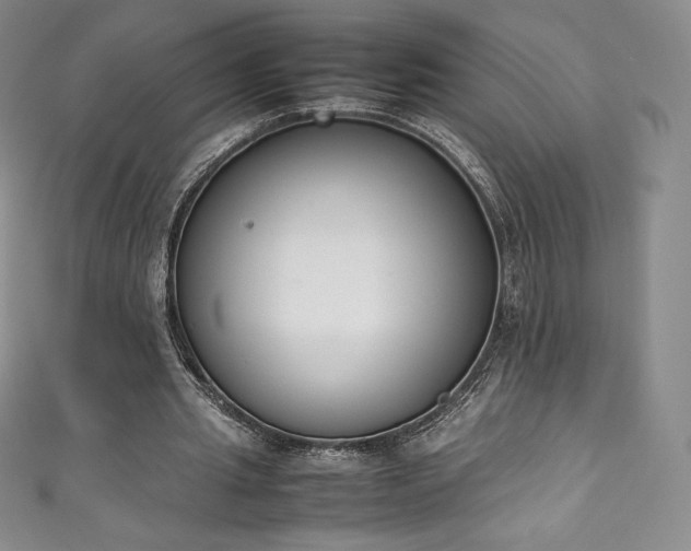 X0000111140437200906301233