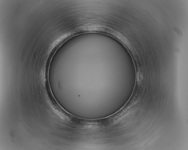 X0000111140438200906301233