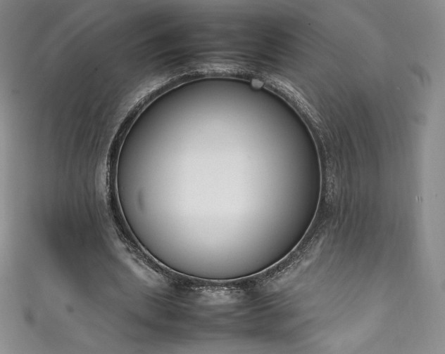 X0000111140439200906301233