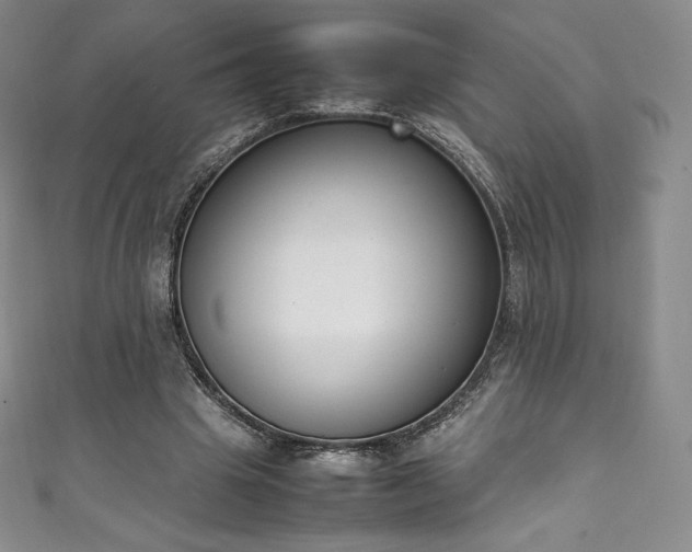 X0000111140441200906301233