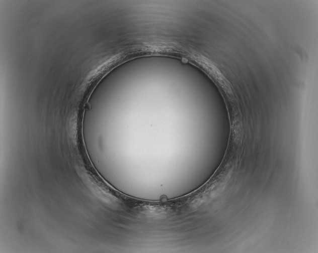 X0000111140442200906301233