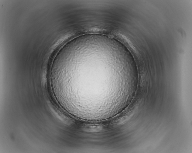 X0000111140443200906301233