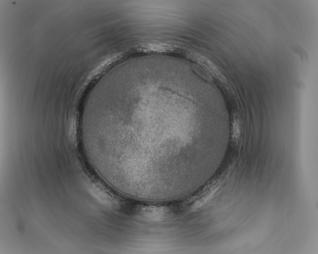 X0000111140444200906301233