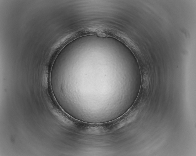 X0000111140446200906301233