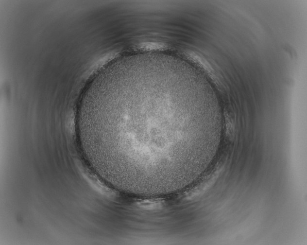 X0000111140447200906301233