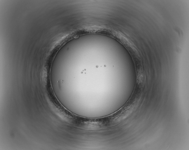 X0000111140448200906301233