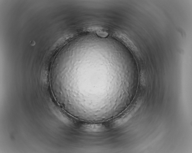 X0000111140449200906301233