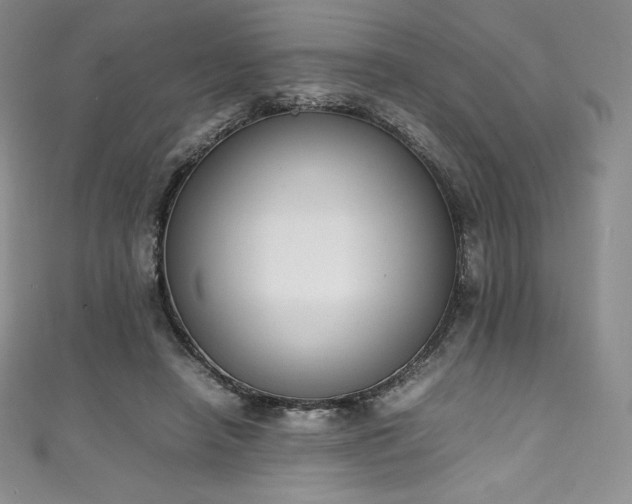 X0000111140450200906301233