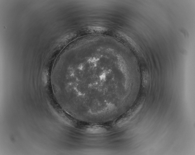 X0000111140451200906301233