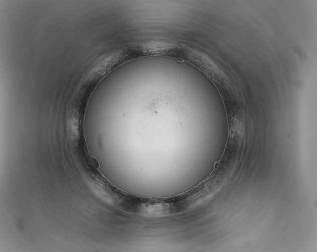 X0000111140452200906301233